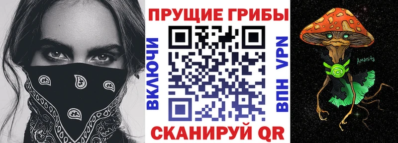 Псилоцибиновые грибы Magic Shrooms  OMG как войти  Шимановск 